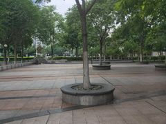 -后襄河公园