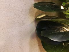 -1861意大利餐厅(文化广场店)