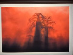 -罗红摄影艺术馆