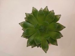 -慈蕊美容养生·专业经络调理