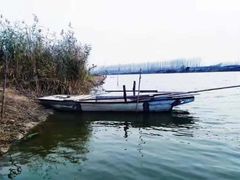 -泗洪洪泽湖湿地景区