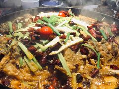 -老板恋上鱼(恒隆广场店)