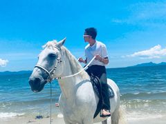 -玫瑰海岸文化旅游度假区