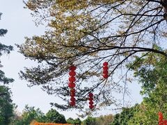-海珠湖公园