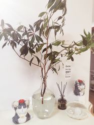 -美肤盾祛痘·问题肌头疗管理中心