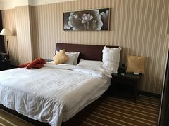 -罗浮山嘉宝田森林温泉度假酒店
