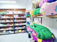 -爱雪貂安哥鲁宠物貂专卖店(天通苑店)