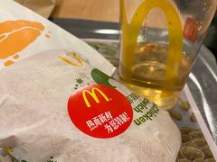 -麦当劳(明湖店)