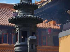 -亭林园-华藏寺