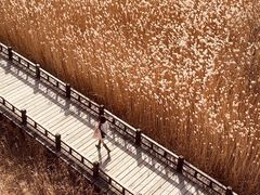 -野鸭湖国家湿地公园