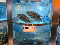 -老船舫·现做活鲜鱼馆(东郊记忆店)