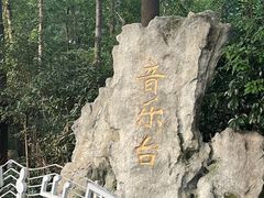 -音乐台