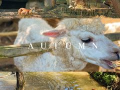 -沈阳森林动物园