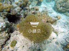 -马奴干岛