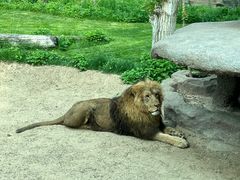 -北京野生动物园