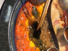 -生活如沸·顺德水牛奶火锅(大学路店)