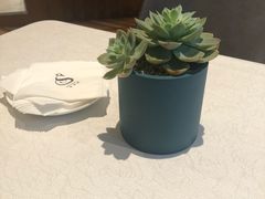 -莎琳娜食品有限公司·蛋糕店