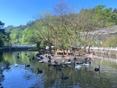 -黔灵山公园