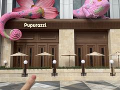 -帕帕拉兹宠物(亚洲旗舰店)