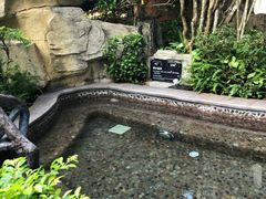 -海口观澜湖火山温泉谷