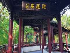 -上海佘山国家森林公园天马山园