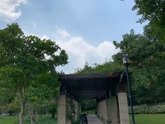 -杭州城北体育公园