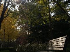 -郑州植物园