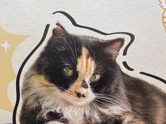 -公园前(地铁站)