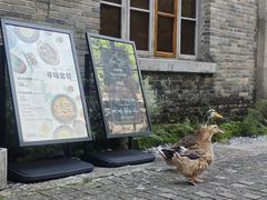 -阳朔糖舍酒店·糖舍餐厅&酒吧