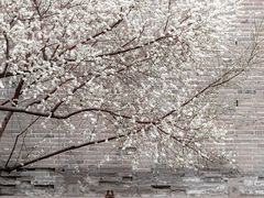 -雍和宫(地铁站)