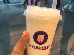 -一只酸奶牛(八一路店)