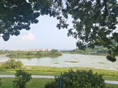 -风云岭森林公园