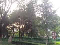 -双榆树公园