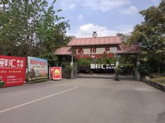 -二荆条·蜀鲜汇城市森林火锅