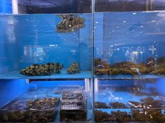 水产区-大头椰·椰子鸡火锅(南宁万象城店)