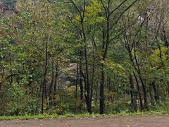 -青峰峡国家森林公园