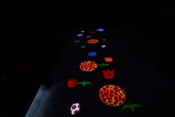 -恐龙探索乐园(磁器口店)