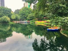 -晓港公园