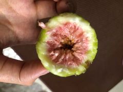 -果蔬好生活超市(乐堤港店)