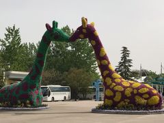 -西安秦岭野生动物园