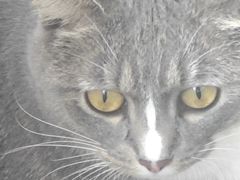 -海关荤豆花(洋河一路店)