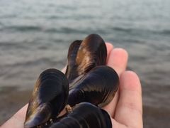 -青岛银沙滩