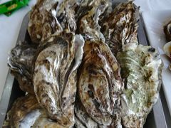 水煮生蚝-渔民船说·北塘海鲜·天津菜·海肠捞饭(北塘古镇店)
