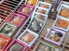 -蓝湾碧波·老字号·疍家非遗海上餐厅