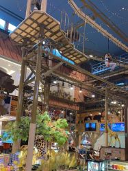 -卡通尼·Safari非洲探索乐园·生日会(金桥国际商业广场店)