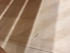 -汤里来温泉