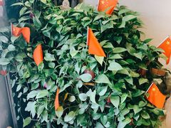 -ZING COFFEE 镜咖啡