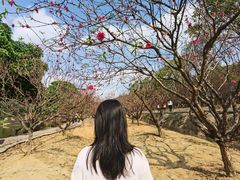 -南国桃园旅游度假区