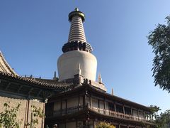 -张掖大佛寺景区