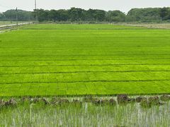 -嘉北郊野公园